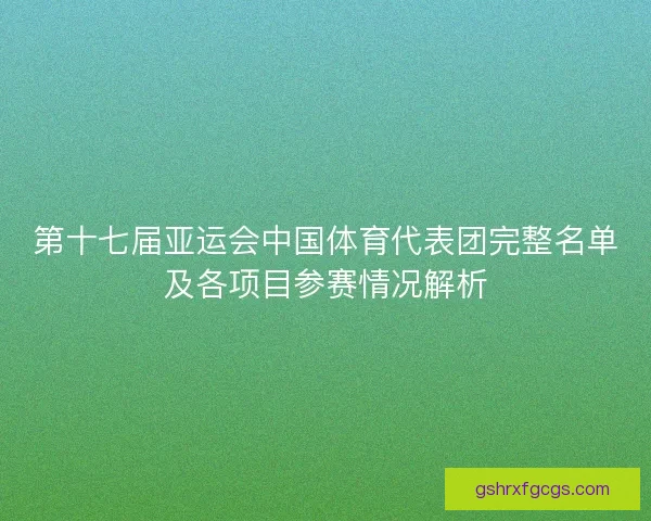 第十七届亚运会中国体育代表团完整名单及各项目参赛情况解析