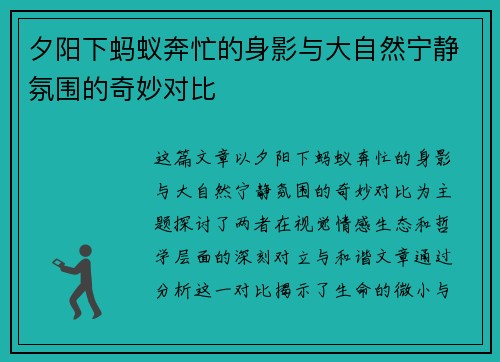 夕阳下蚂蚁奔忙的身影与大自然宁静氛围的奇妙对比